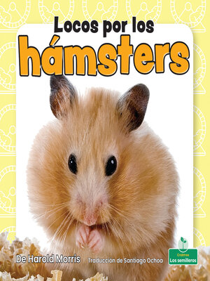 cover image of Locos por los hámsters (Crazy About Hamsters)